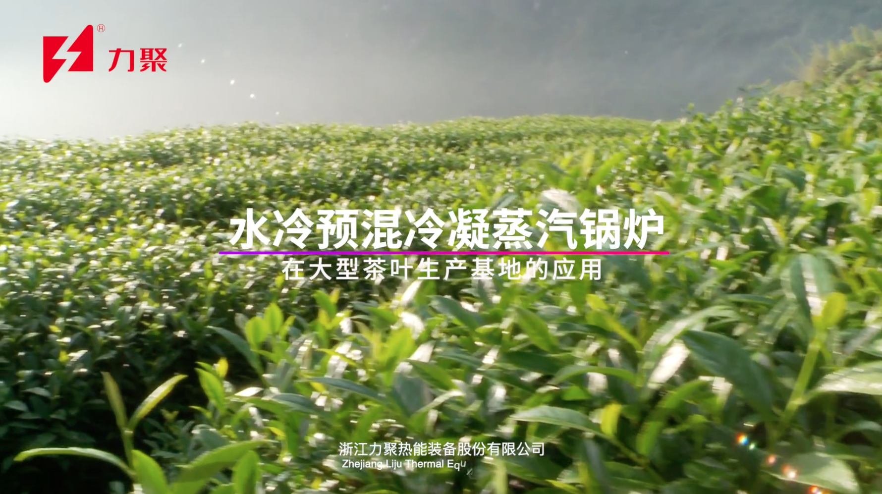 香港宝典免费资料大全